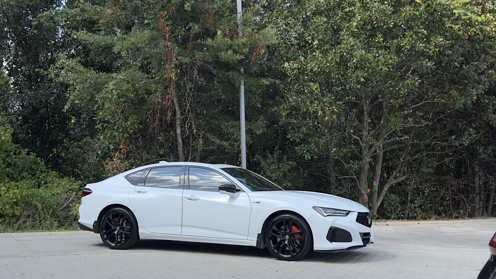 2025 Acura TLX Type S