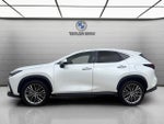 2023 Lexus NX NX 350h Premium