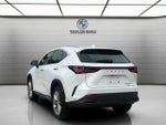 2023 Lexus NX NX 350h Premium