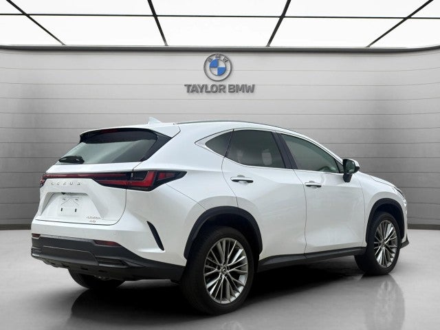 2023 Lexus NX NX 350h Premium