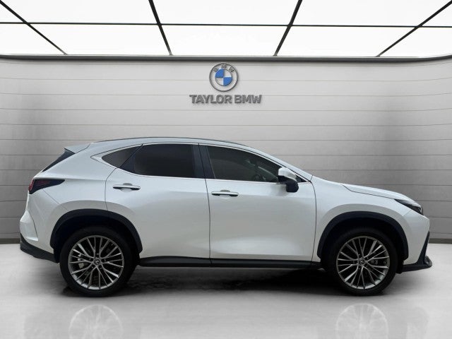2023 Lexus NX NX 350h Premium