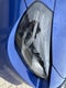 2026 BMW M2 Base