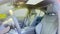 2026 BMW 330i 330i NA