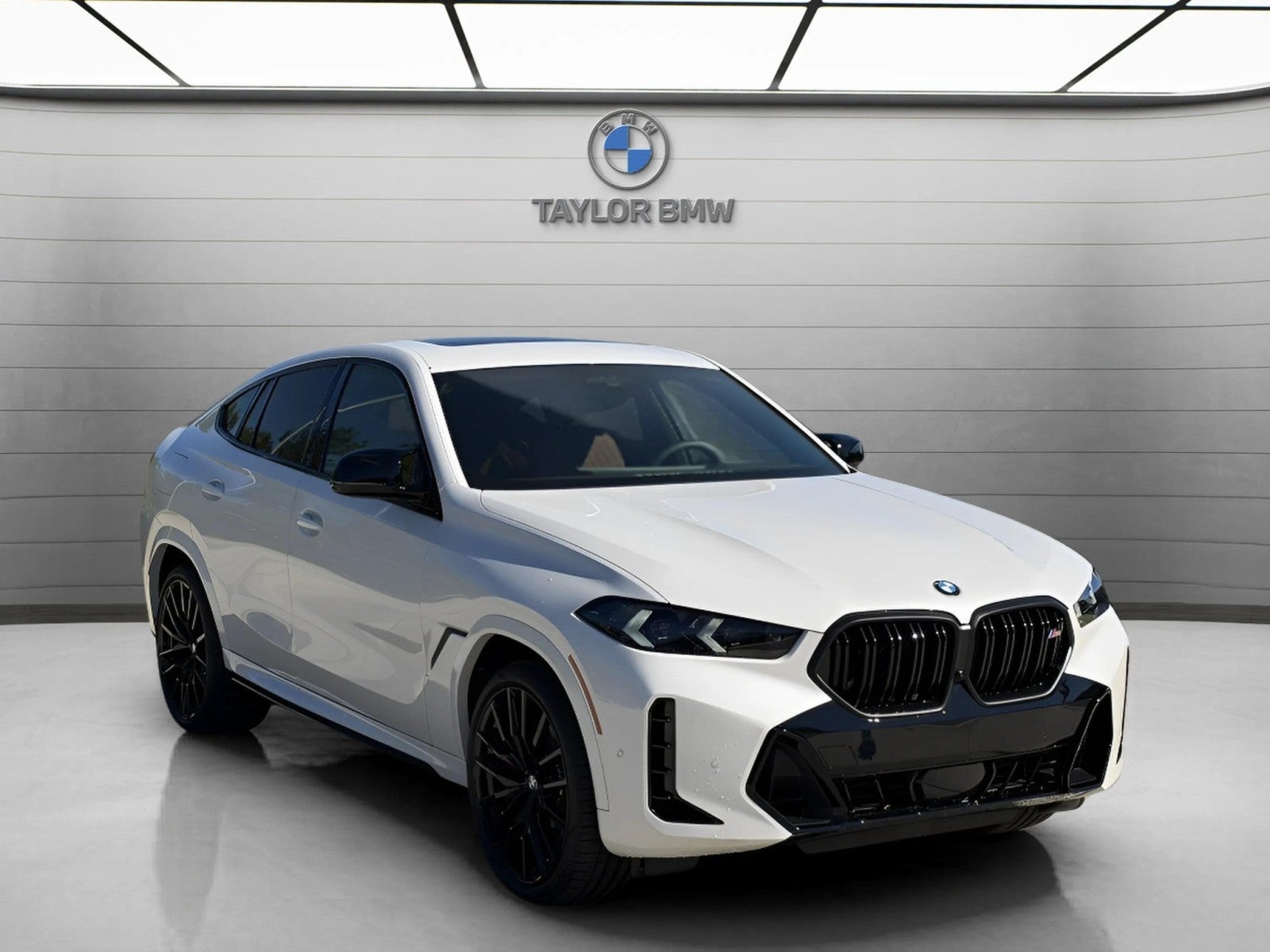 2027 BMW X6 M60i