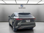 2025 Lexus RX RX 350 Luxury