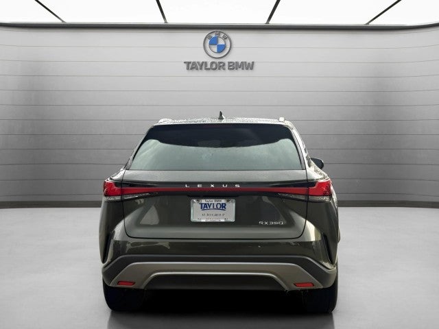 2025 Lexus RX RX 350 Luxury