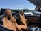 2024 BMW Z4 sDrive sDrive30i